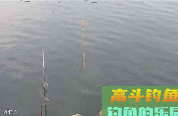 精确的无钩调漂步骤方法，简单易学
