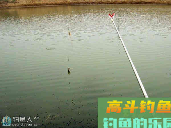 浮漂的选用与调钓运用分析