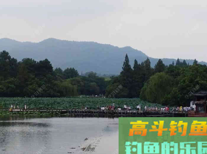 如何判断钓灵了还是钓顿了？
