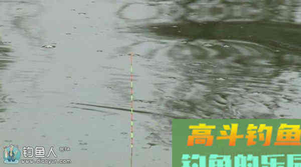 浅谈台钓找底与调漂的关系