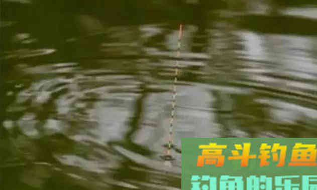 调钓不建议随时都操作，遇到这几种情况就要