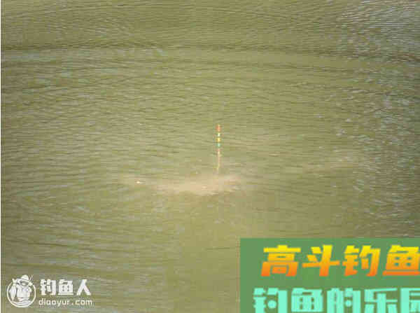 鱼吃食与浮漂调整的关系