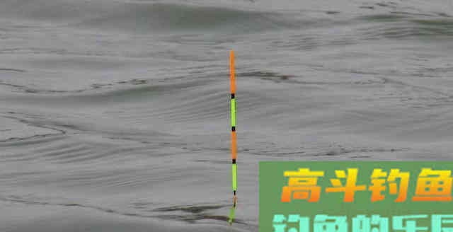 钓鱼新手还把见漂动速提竿当做自豪事？钓手咋看