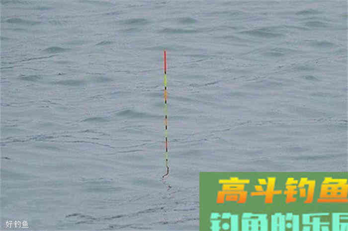 野钓调漂技法分享，快速而实用