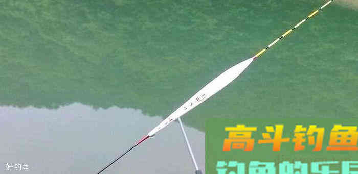台钓中，为何浮漂有信号却空竿？