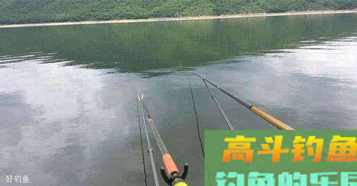 准确判断浮漂信号与十一种漂相解析