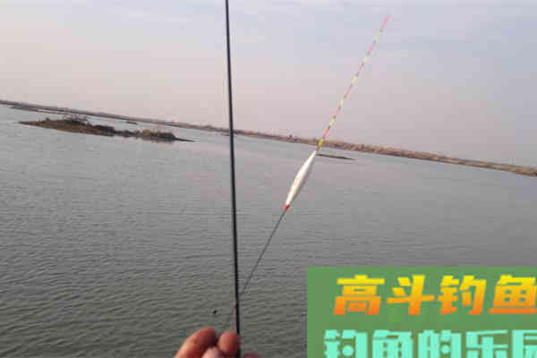钓鱼调漂方法需灵活应变之见