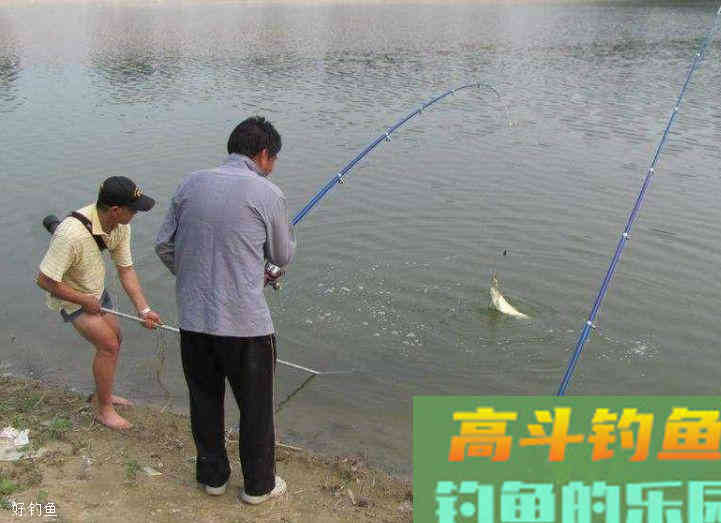为什么要钓灵钓顿？怎么钓灵钓顿？