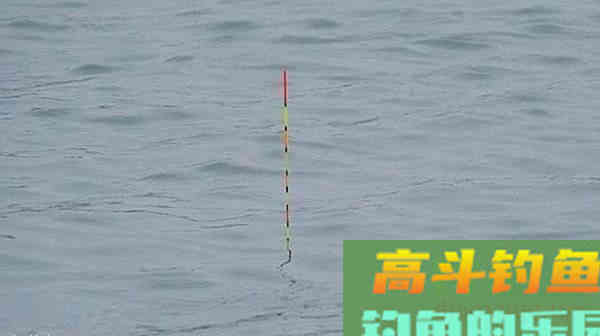 漂讯不精准，钓目总在变，这些是找底的坏习惯导致的