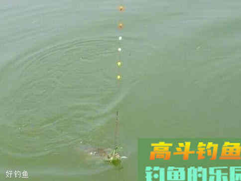 钓鱼怎么调漂？不同水域作钓，有不同的调漂方法