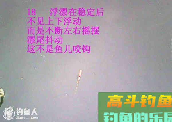 图解鲫鱼的常见咬钩信号漂像