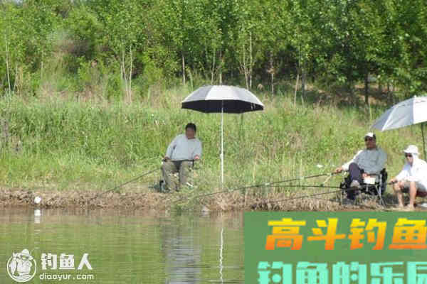 夏季野钓的浮漂线组调整技巧