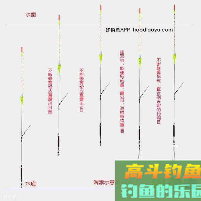 钓鱼调漂找到清晰顿口的四个步骤方法