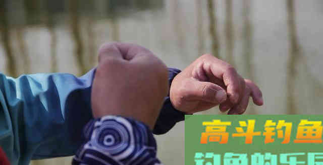 老钓手为啥能在冬天爆护？人家会这样调平水钓2目