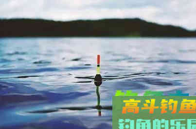 不同水域钓鱼的调漂技巧