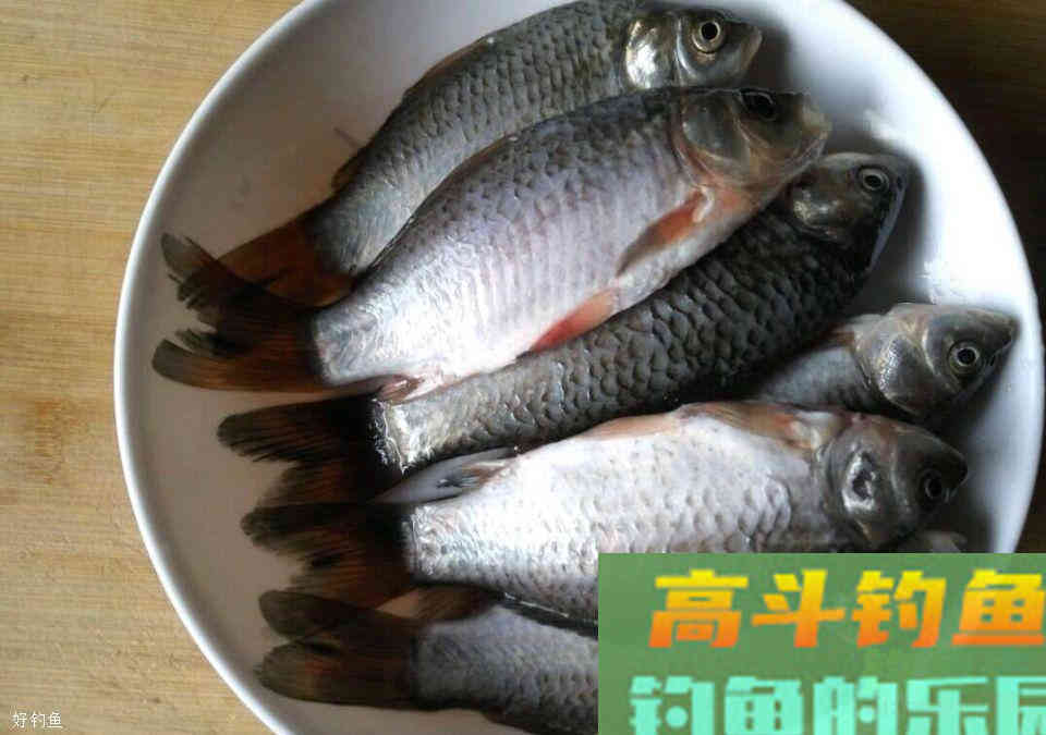 掌握饵料与浮漂示目的对应关系才能灵活调漂