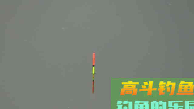 带钩调平水钓两目，钩饵在水底会呈现什么状态