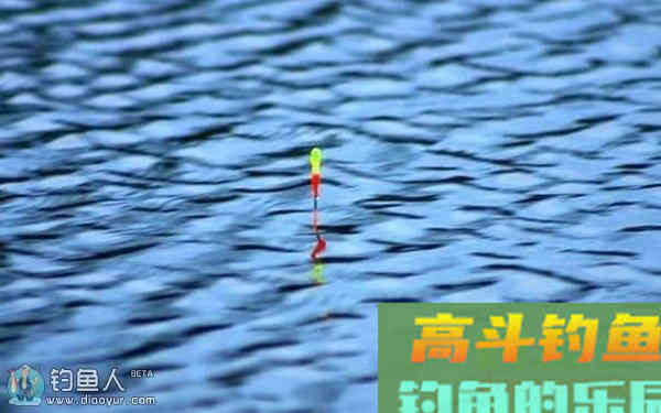 抓住漂相四阶段轻松提高中鱼率