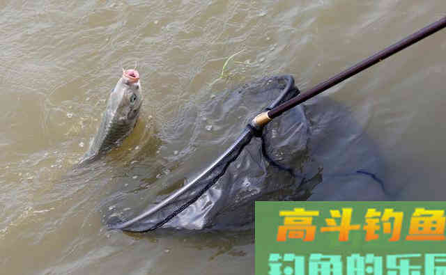 野外垂钓到底该怎样调漂