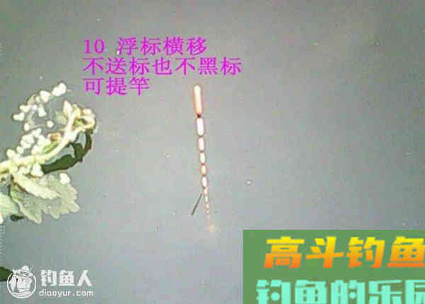 图解鲫鱼的常见咬钩信号漂像