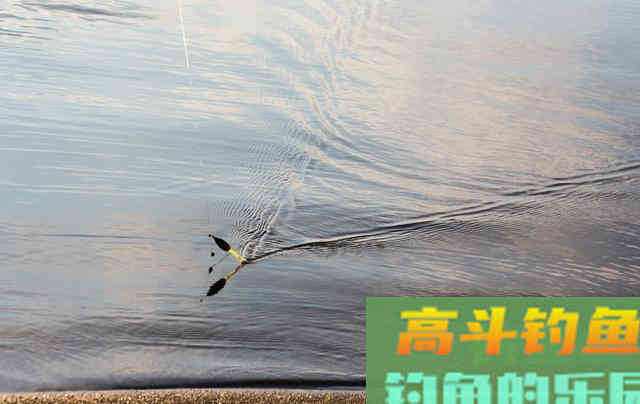 秋季野钓，调个漂让你手忙脚乱