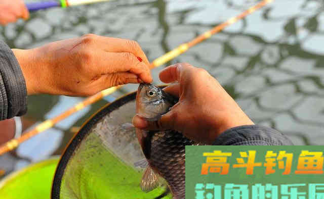 钓鱼调漂的重点是什么？学会两点技巧调漂不再难