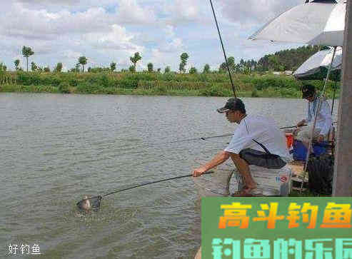钓鱼怎么调漂？不同水域作钓，有不同的调漂方法