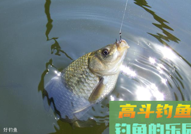 用调四钓二调漂时应注意的几个问题