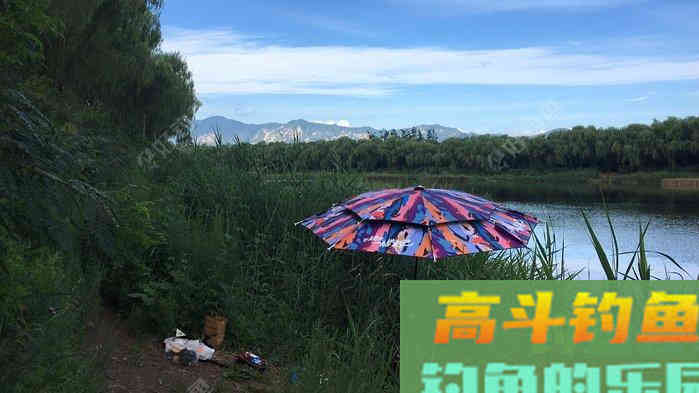 调四钓二是什么？怒怼调四钓二，这就是钓鱼界的葵花宝典