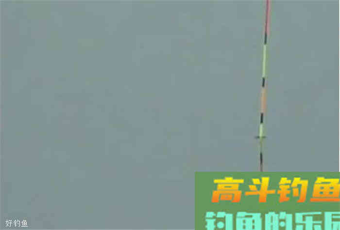 老钓友分享自己多年调漂经验，告诉你漂应该怎么调
