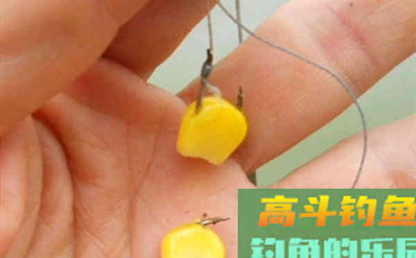 使用玉米粒钓鱼，浮漂应该怎么调