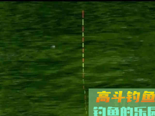 钓鱼调漂到底重不重要？程宁大师，网红钓友，谁对谁错