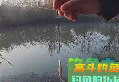 四种钓鱼看漂技巧