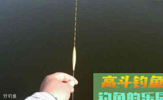 为什么要钓灵钓顿？怎么钓灵钓顿？