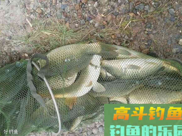 新手钓鱼人必知的调漂钓鱼方法