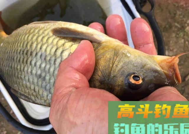 调漂之后，为何目数变来变去？