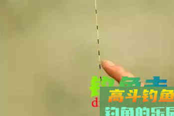 浮漂调灵调钝，影响上鱼率