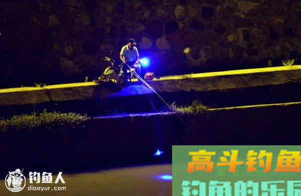 详谈泉动钓法在夜钓中的调钓运用