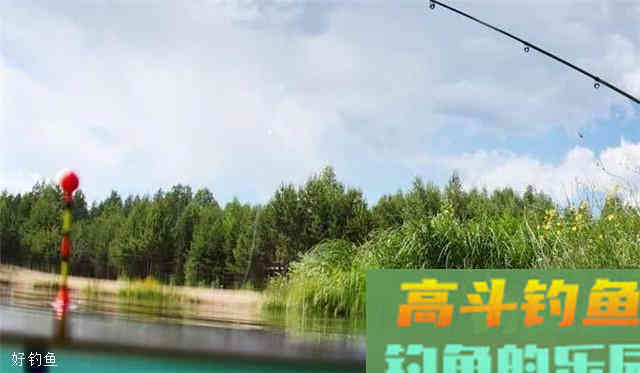 黑坑野钓高手告诉你如何调漂