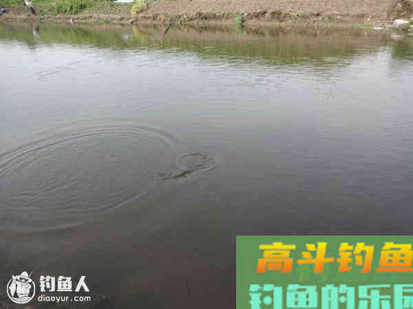 静态浮钓时浮漂下顿空竿的原因及解决方法