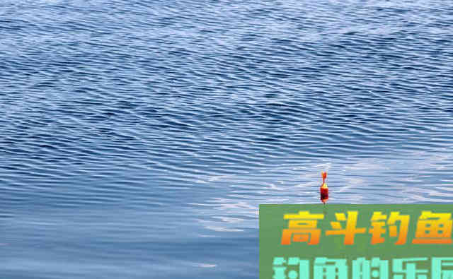 风浪中钓鱼，只要这样调整，就没事