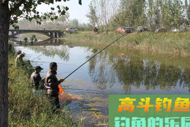 为什么越会调漂鱼获越少个头越小？需要转变思维