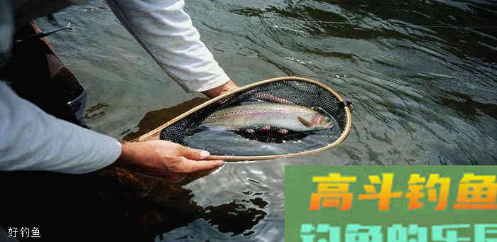 深秋野钓鲫鱼该如何调漂？
