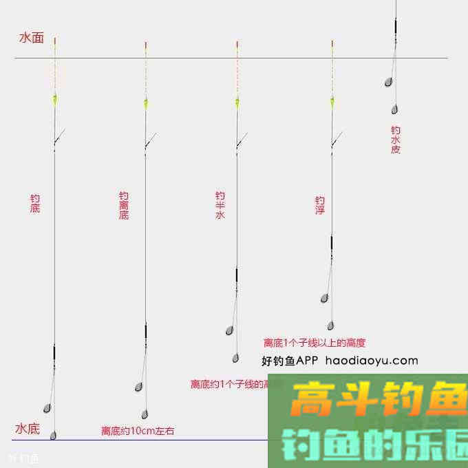 钓鱼调漂找到清晰顿口的四个步骤方法