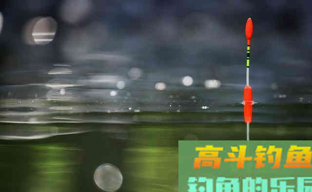 自然水域作钓会调漂就能上鱼吗？学会这两点野钓调漂上鱼多