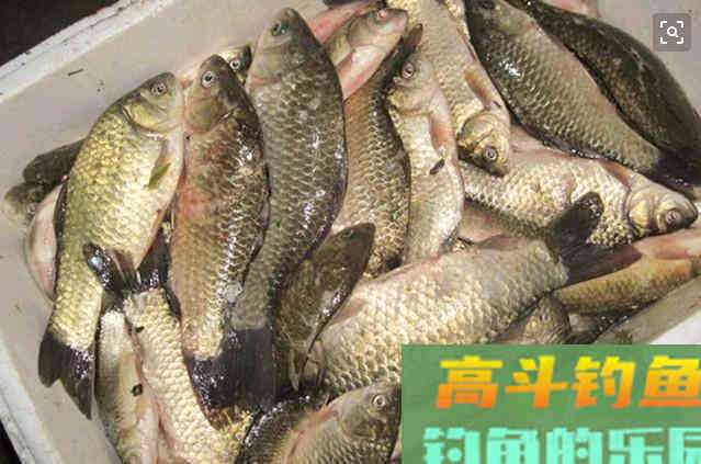 浮漂没有信号扬竿却中鱼，是什么原因了？