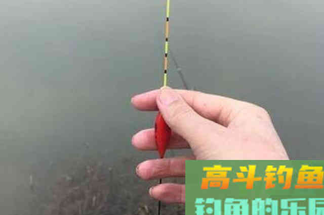 难怪总是钓不好鱼，原来这才是浮漂调钓的精髓