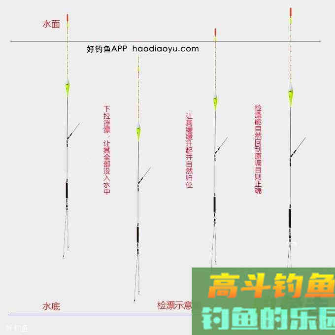 钓鱼调漂找到清晰顿口的四个步骤方法