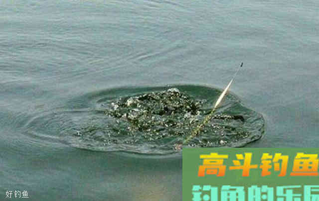 6种漂相判断起竿时机