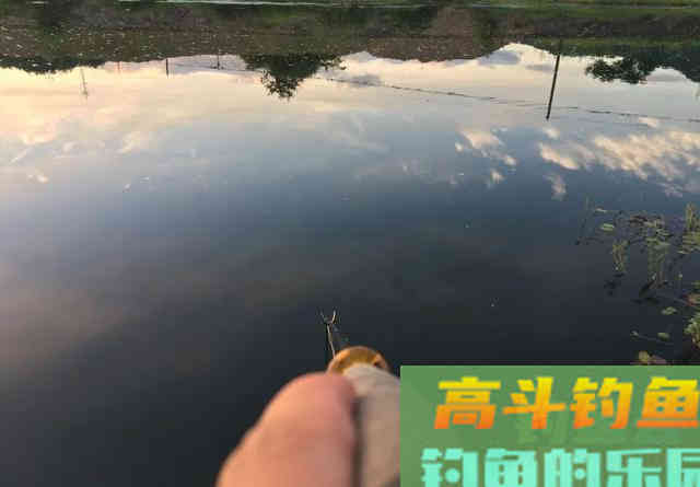 ​换个角度看待灵顿问题，观察鱼的吃钩位置，做调整